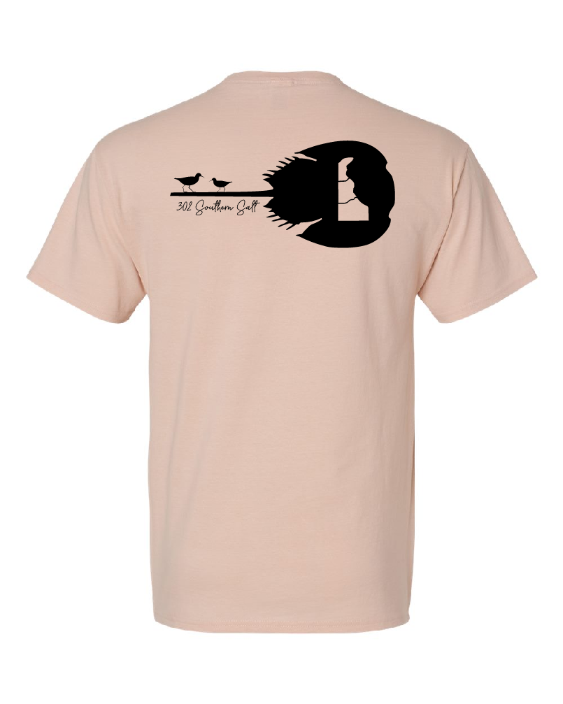 The Delaware Horseshoe Crab