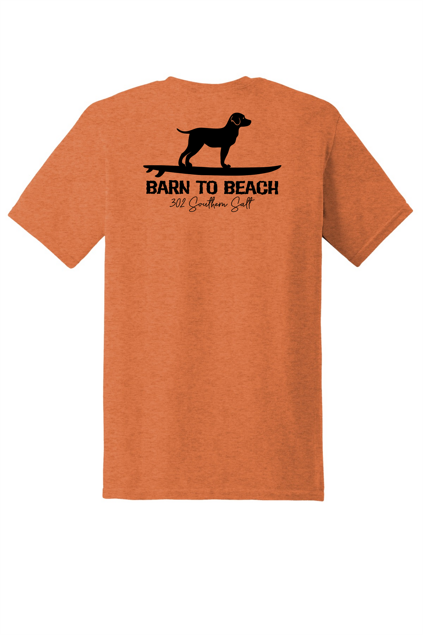 Standing Dog on a Surfboard