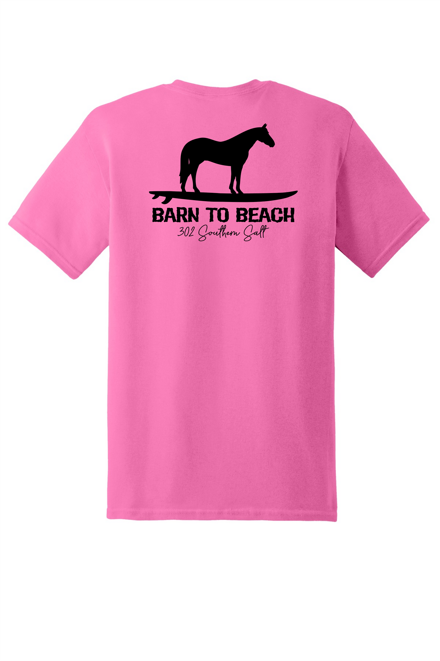 Horse on a Surfboard