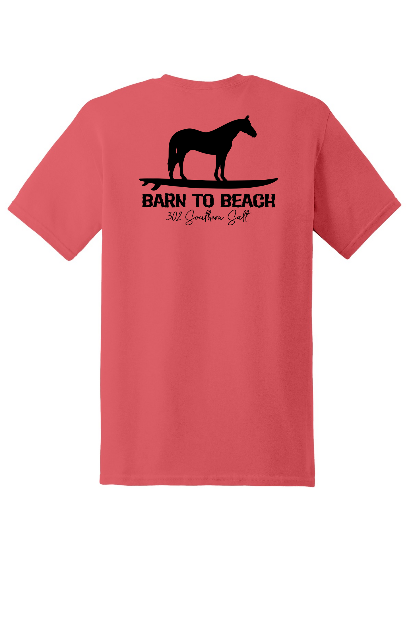 Horse on a Surfboard
