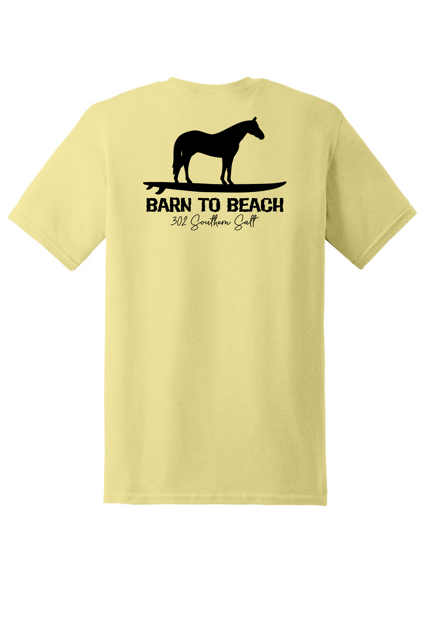 Horse on a Surfboard