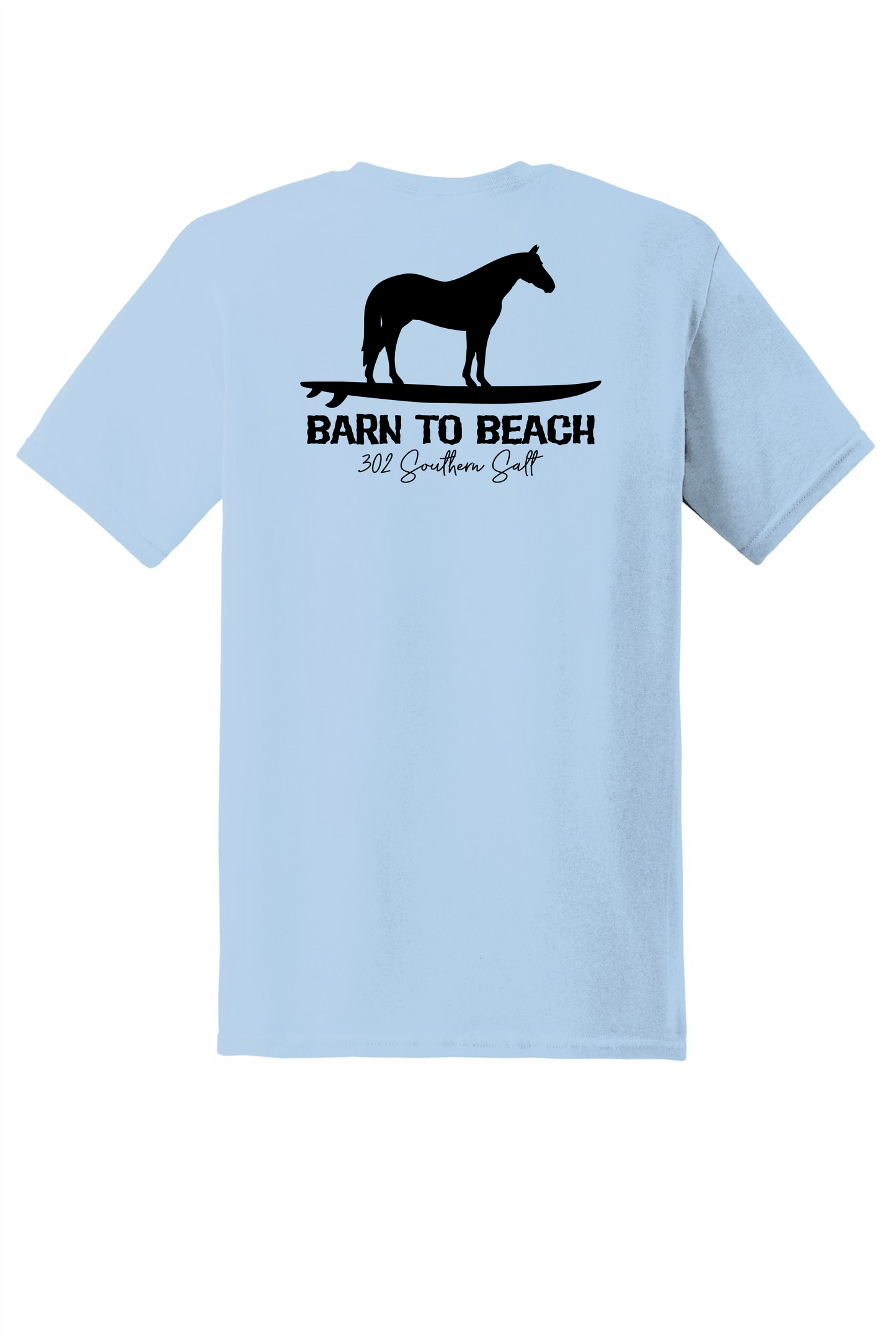 Horse on a Surfboard