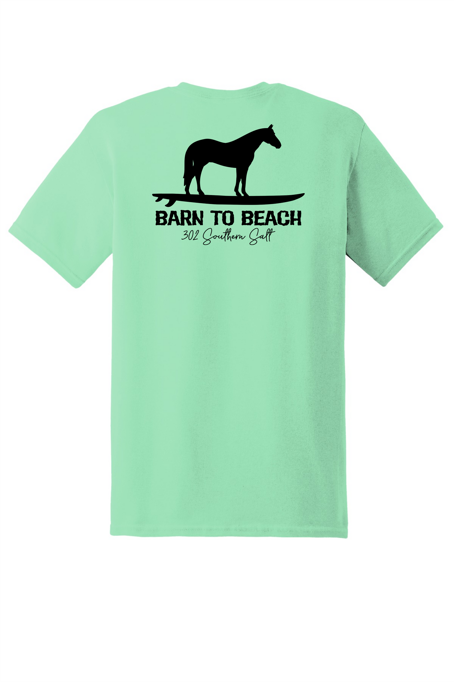 Horse on a Surfboard