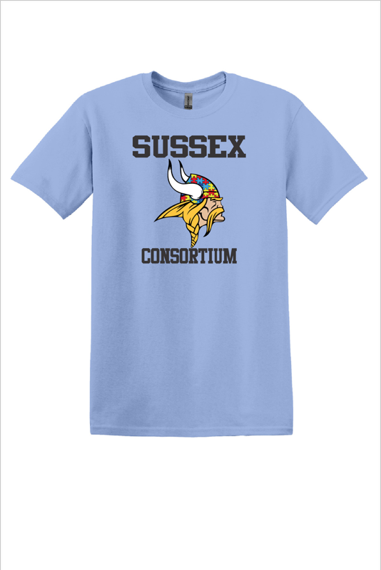 SC Viking Puzzle