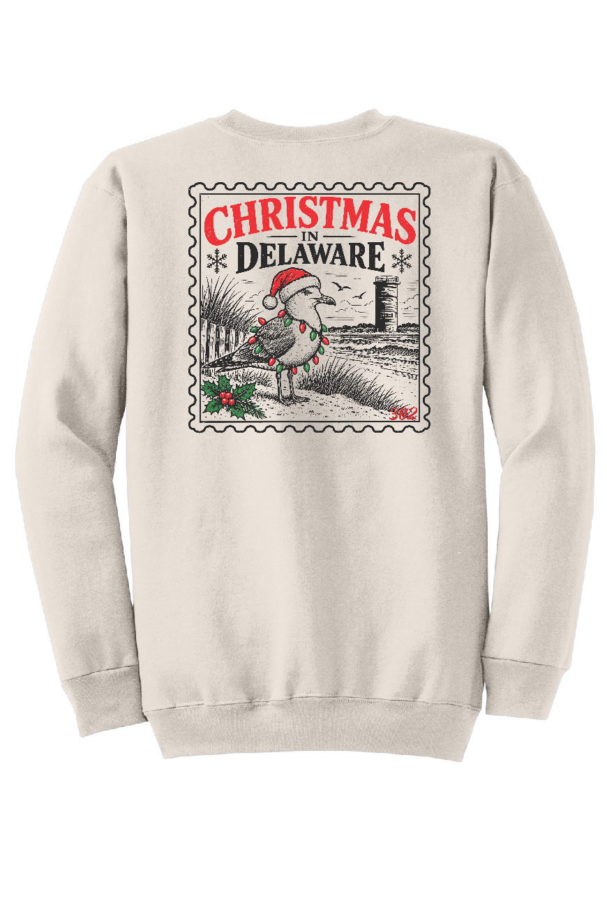 Seagull Christmas in Delaware
