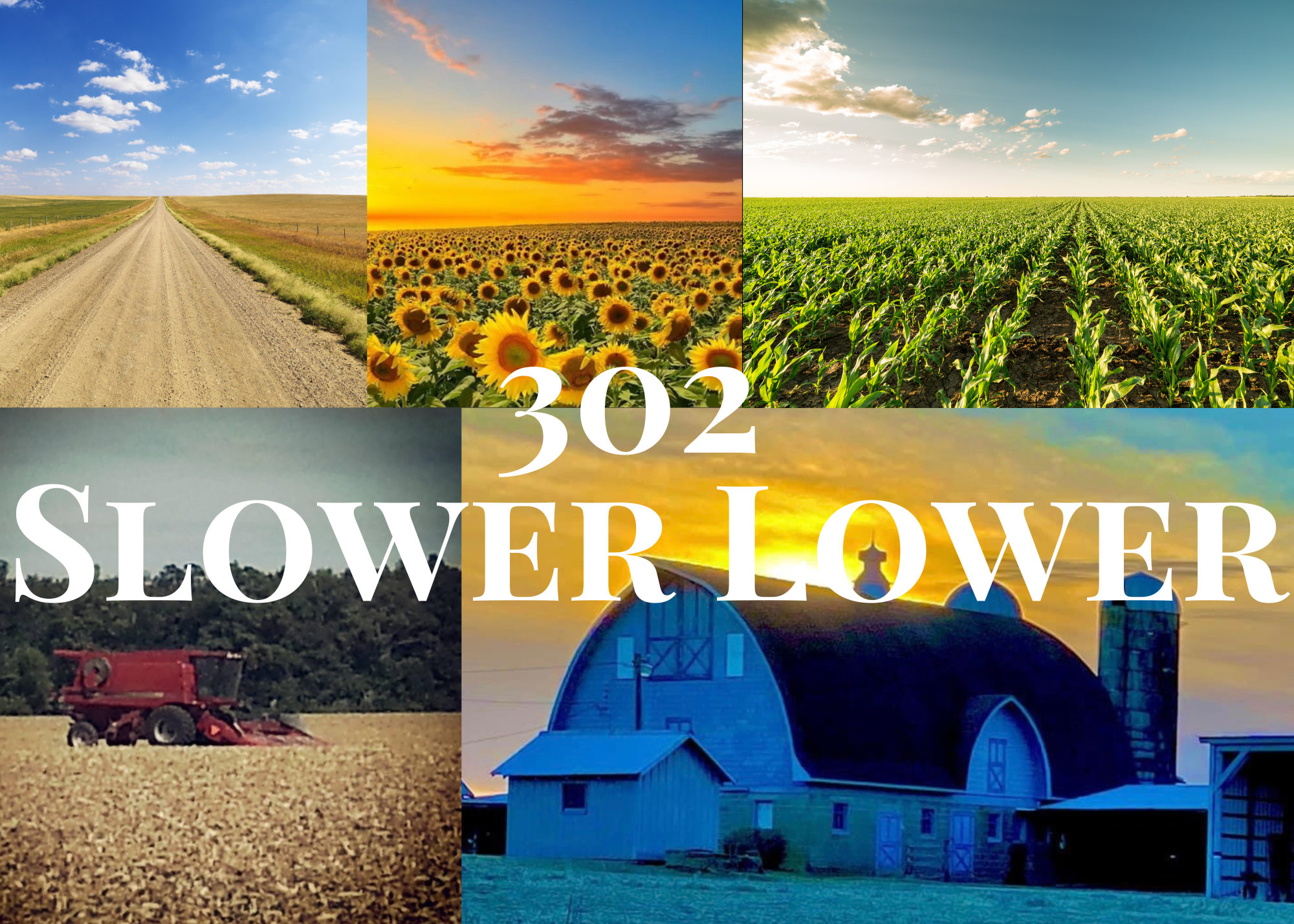 302 Slower Lower