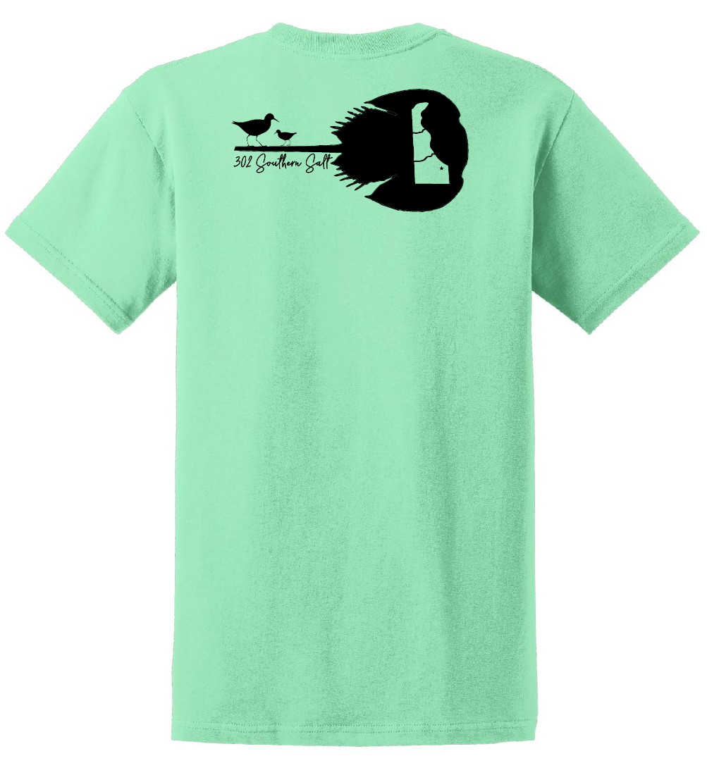 The Delaware Horseshoe Crab