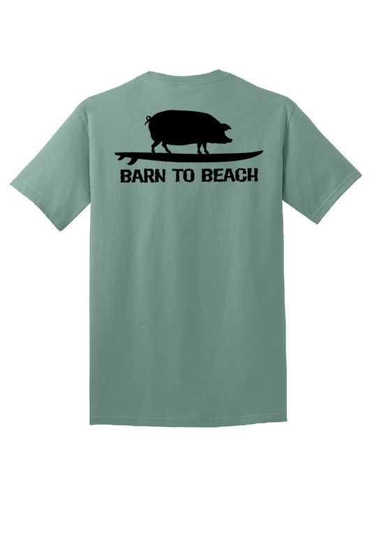 Pig on a Surfboard