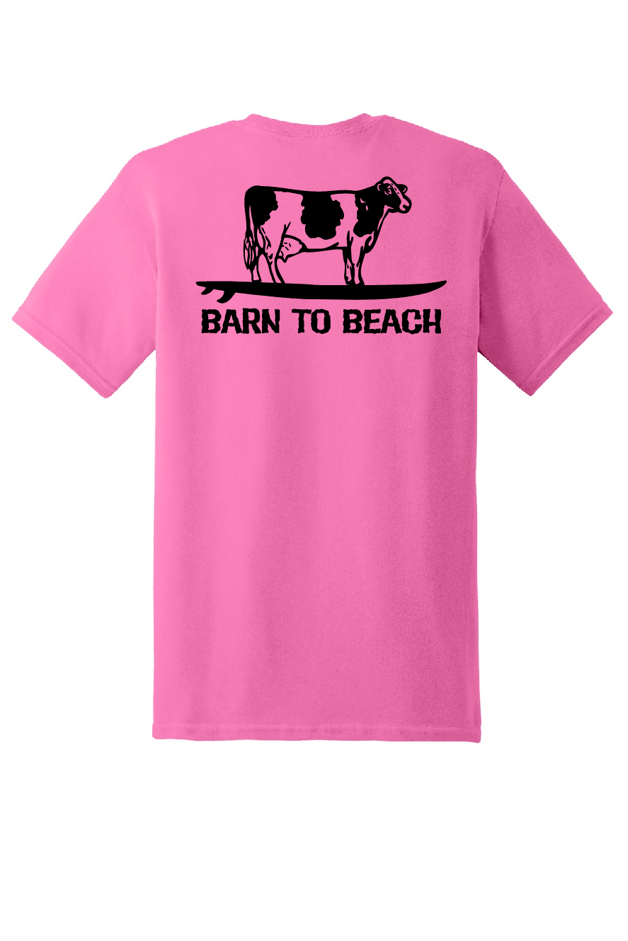 Cow on a Surfboard