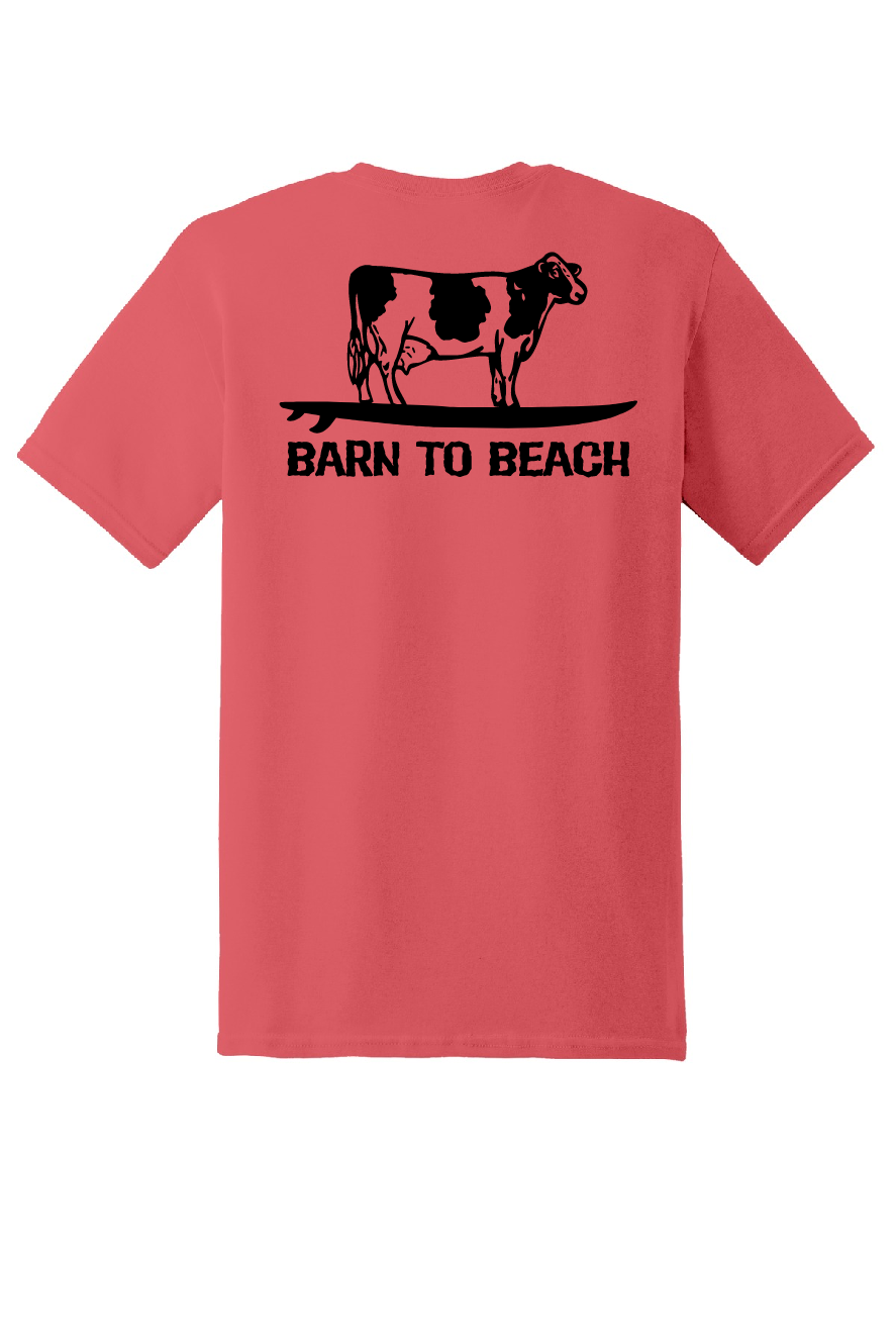 Cow on a Surfboard