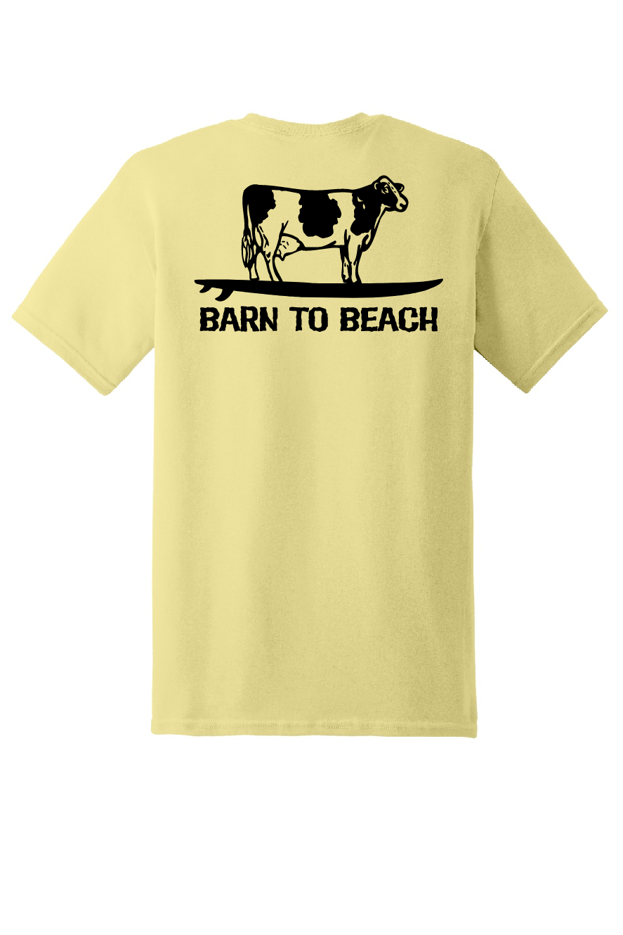 Cow on a Surfboard