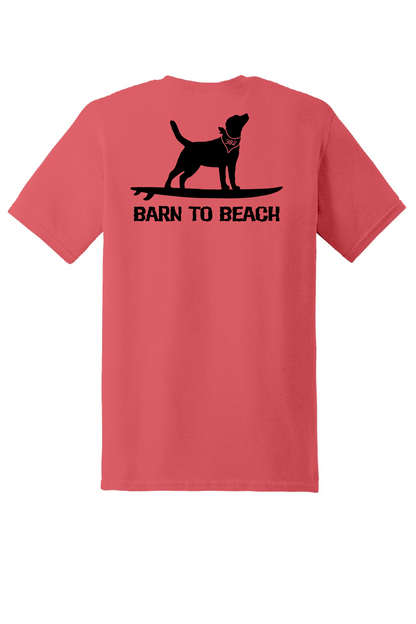 Dog on a Surfboard