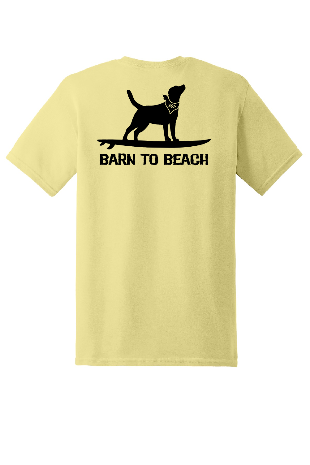 Dog on a Surfboard