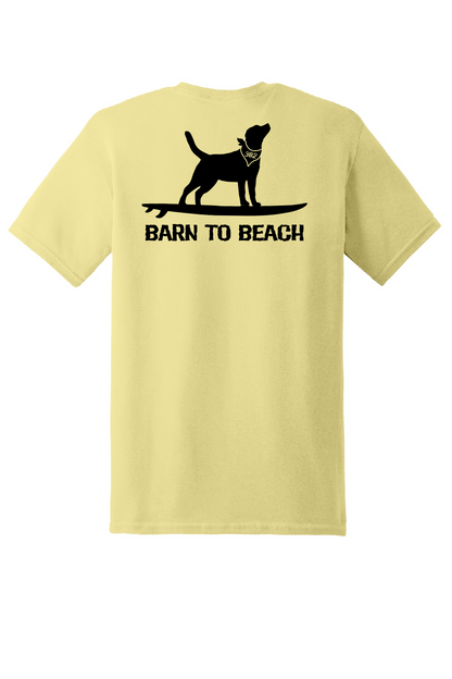 Dog on a Surfboard