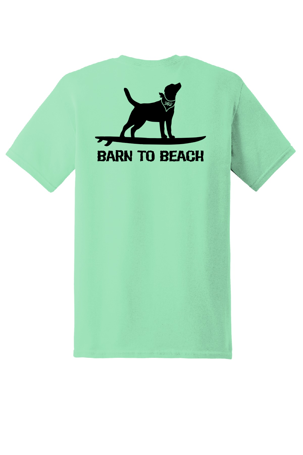 Dog on a Surfboard