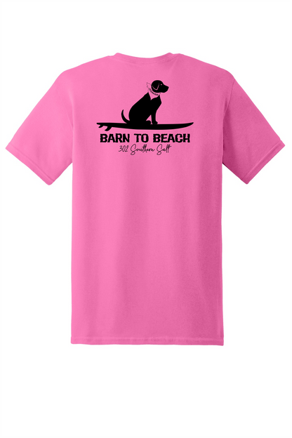 Sitting Dog on a Surfboard