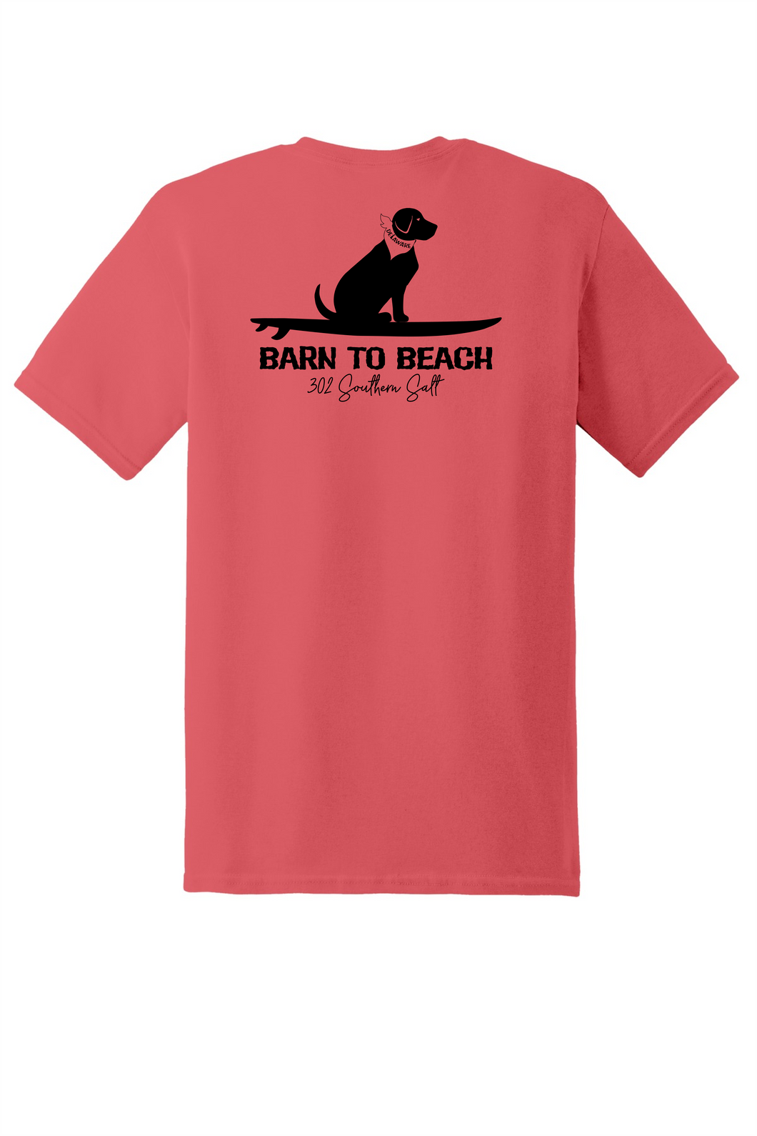 Sitting Dog on a Surfboard
