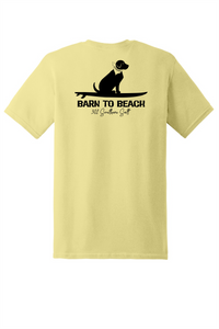 Sitting Dog on a Surfboard