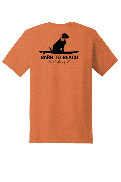Sitting Dog on a Surfboard