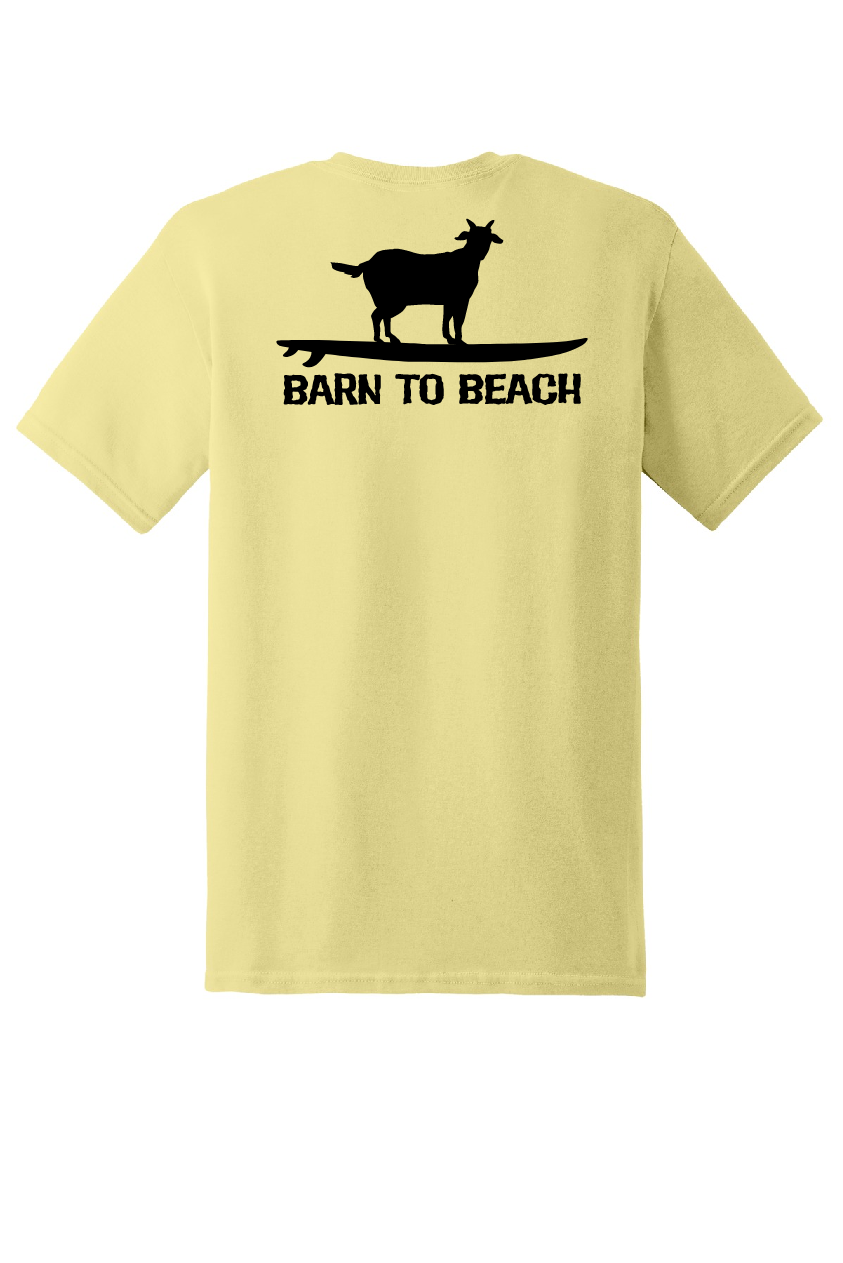 Goat on a Surfboard