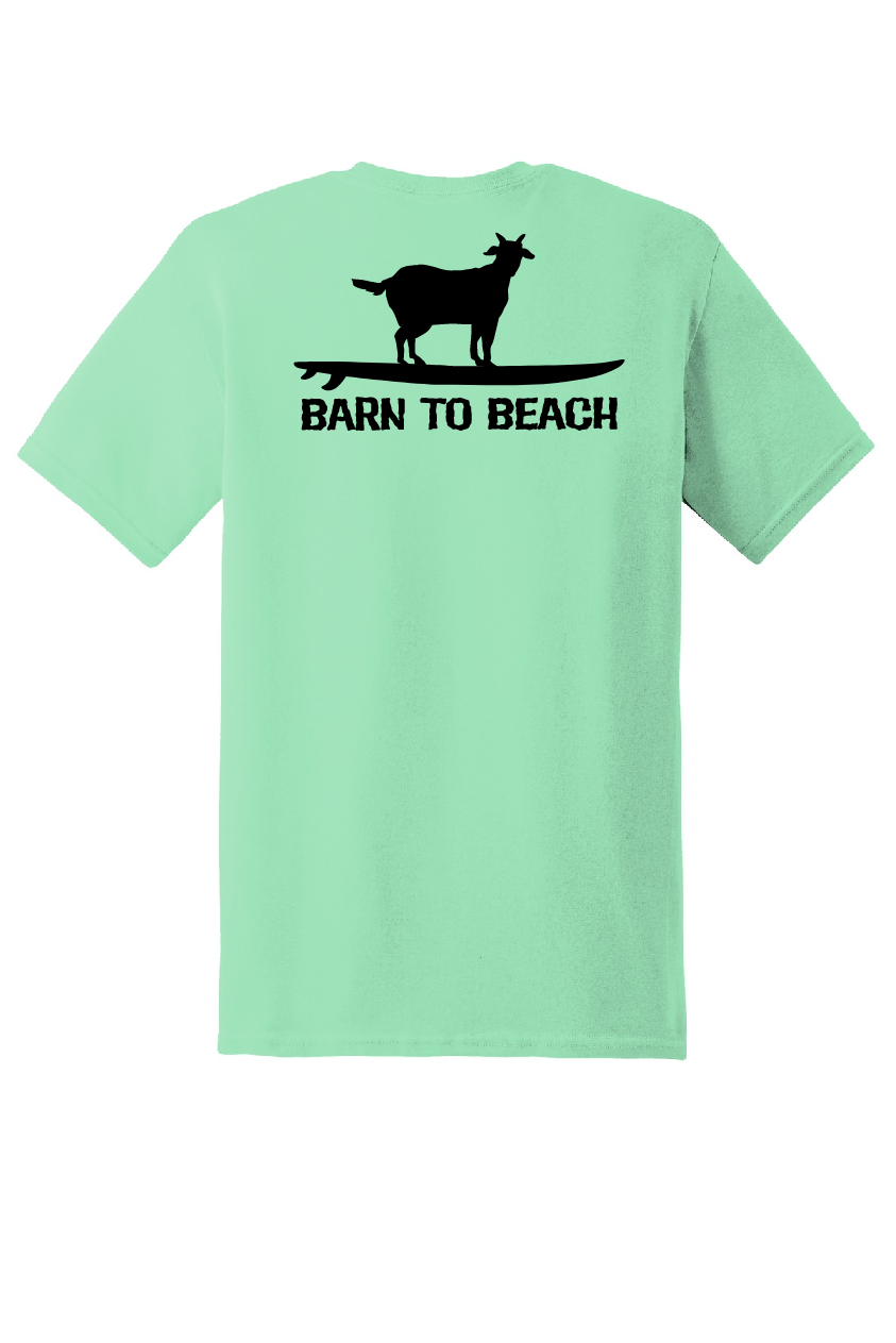 Goat on a Surfboard
