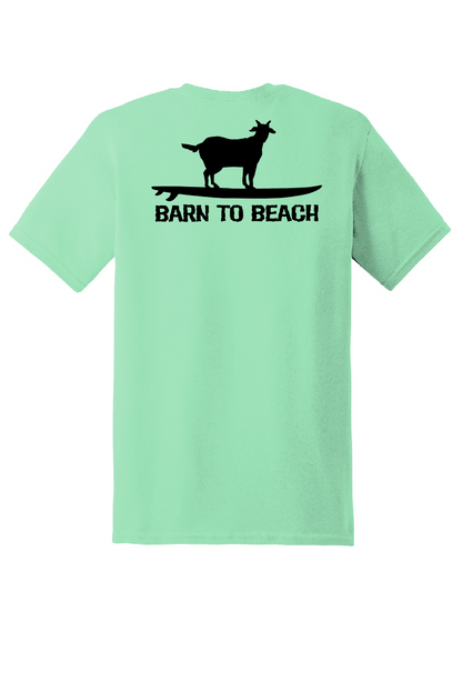 Goat on a Surfboard