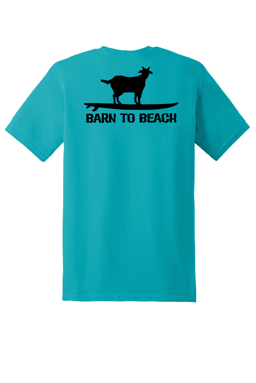 Goat on a Surfboard