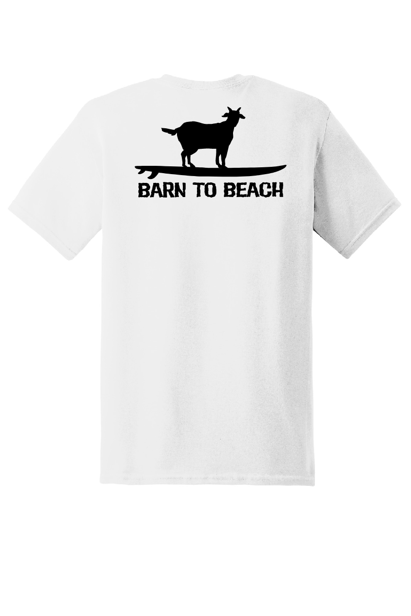 Goat on a Surfboard