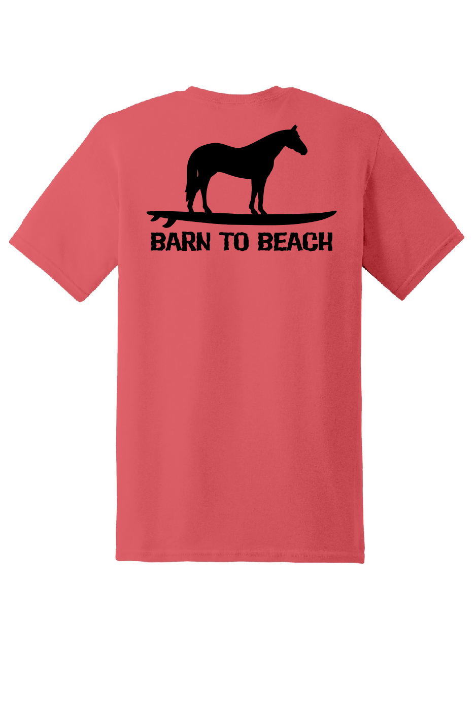 Horse on a Surfboard