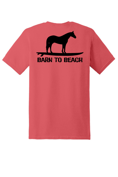 Horse on a Surfboard