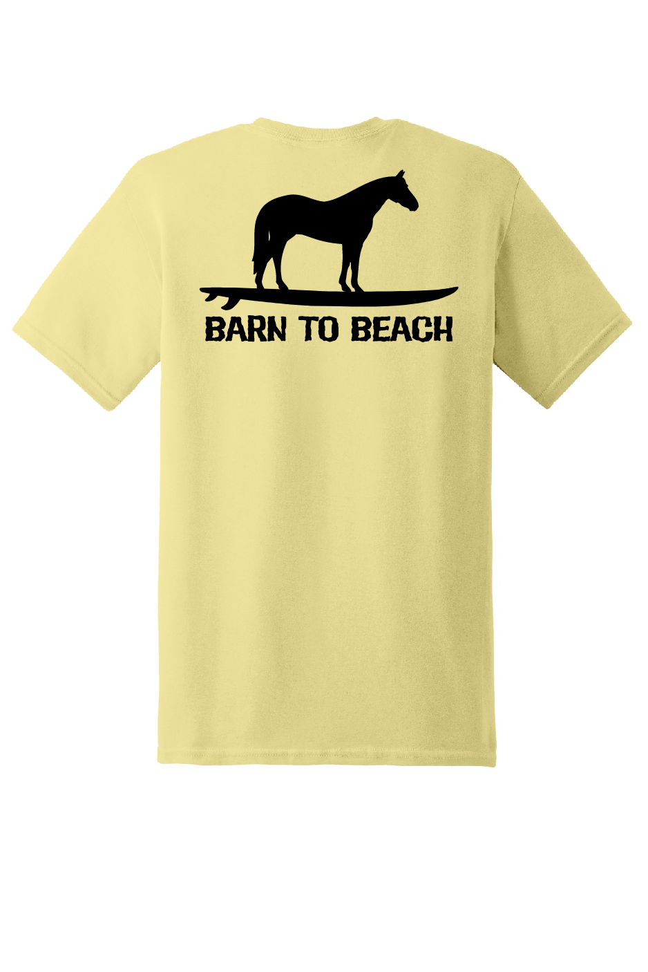Horse on a Surfboard
