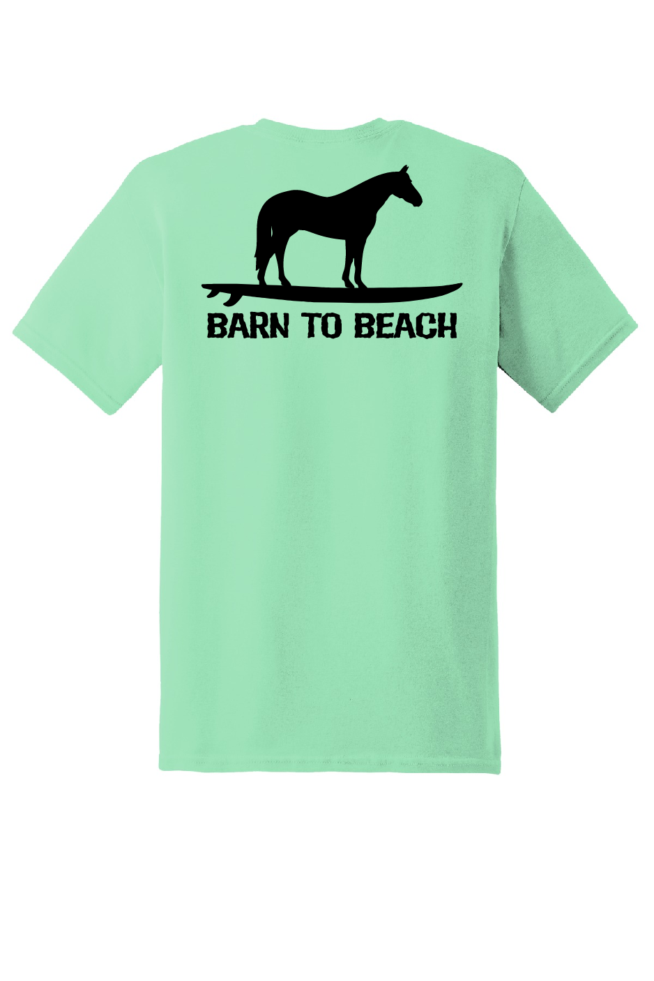 Horse on a Surfboard