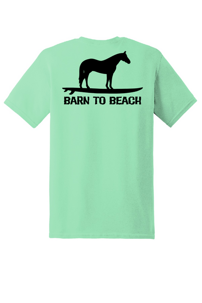 Horse on a Surfboard