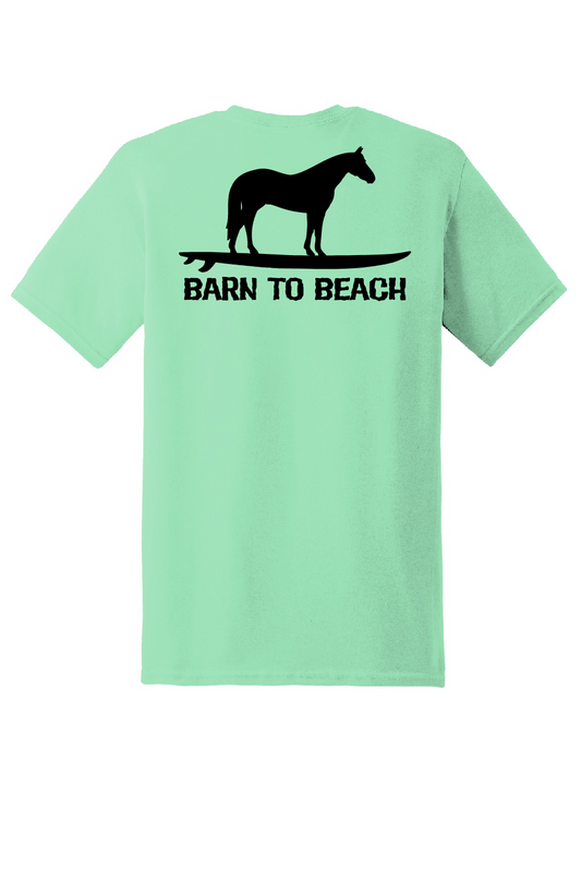 Horse on a Surfboard