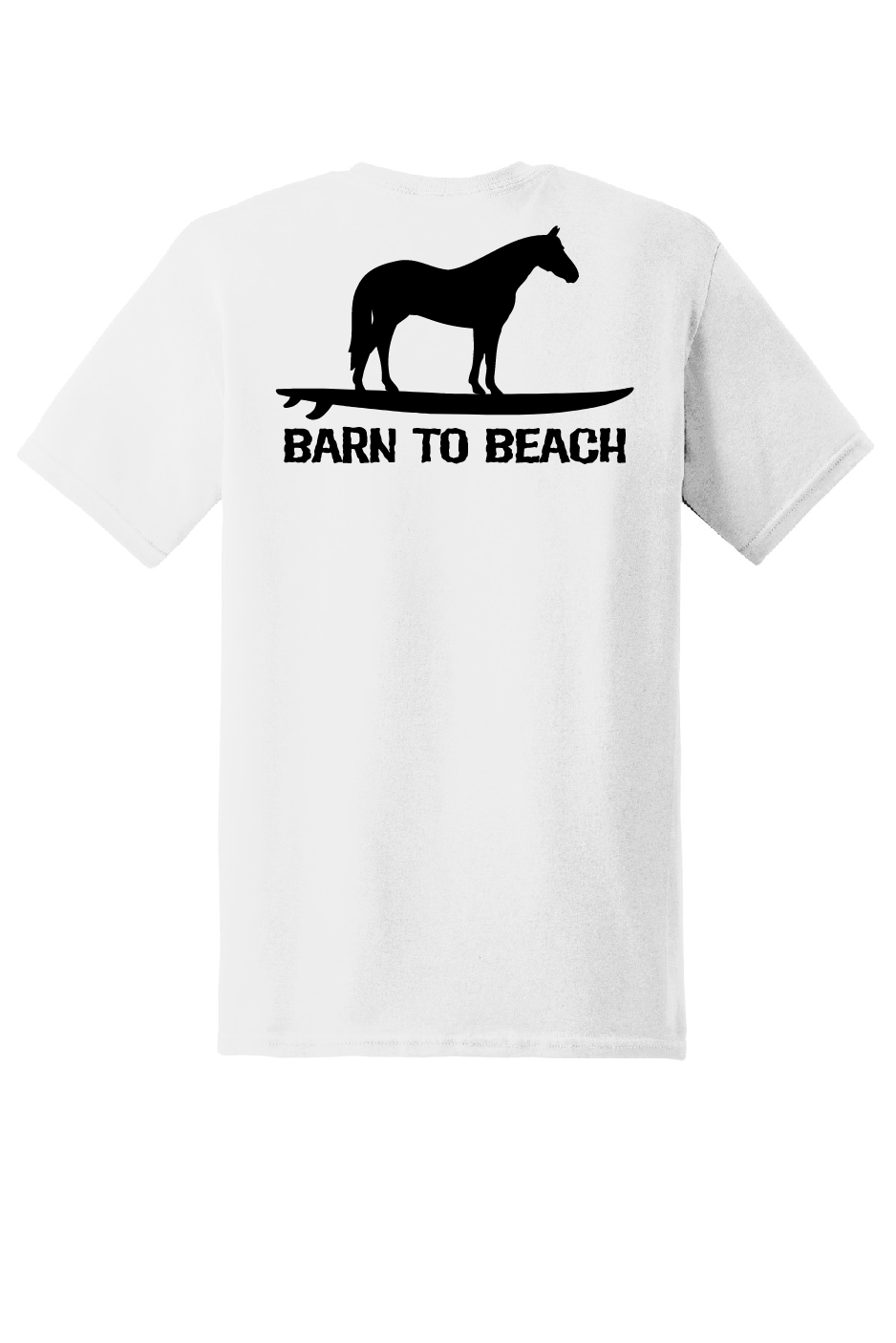 Horse on a Surfboard